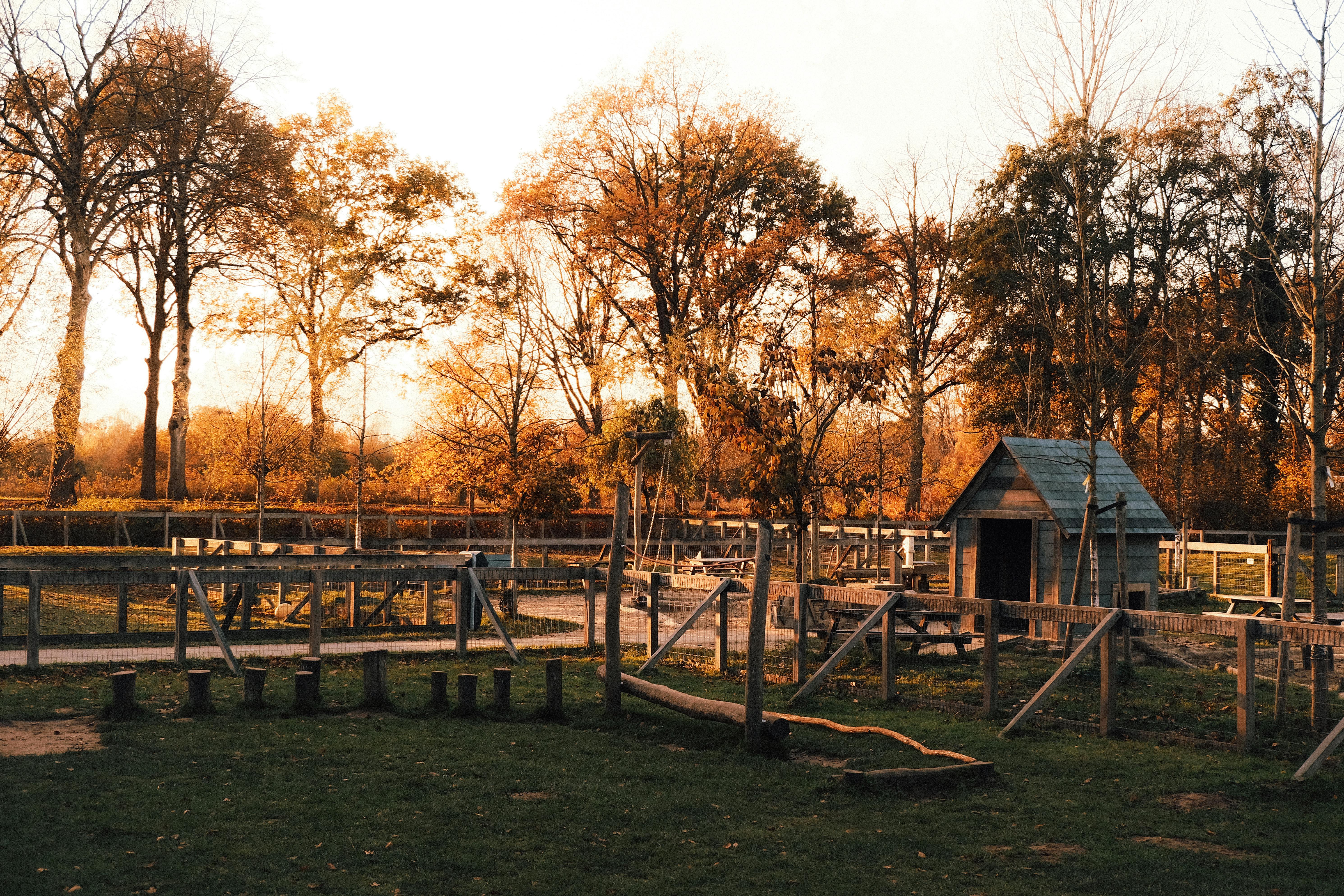 Kinder beim Reiten auf dem Ponyhof Möllmann